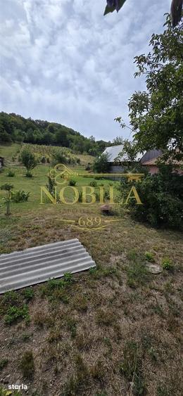 Teren de 10537 mp, în Bogdănești