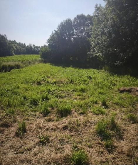 Casă cu 2 camere cu Teren 5500 Mp în Frătăuții Vechi