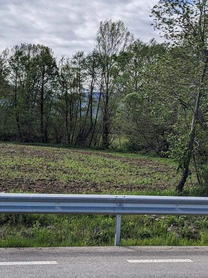 Teren în Copăcel