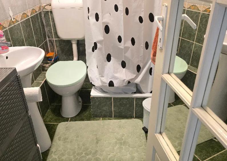 Vand apartament 3 camere decomandat in Deva, Pescarilor, parter inalt - 9