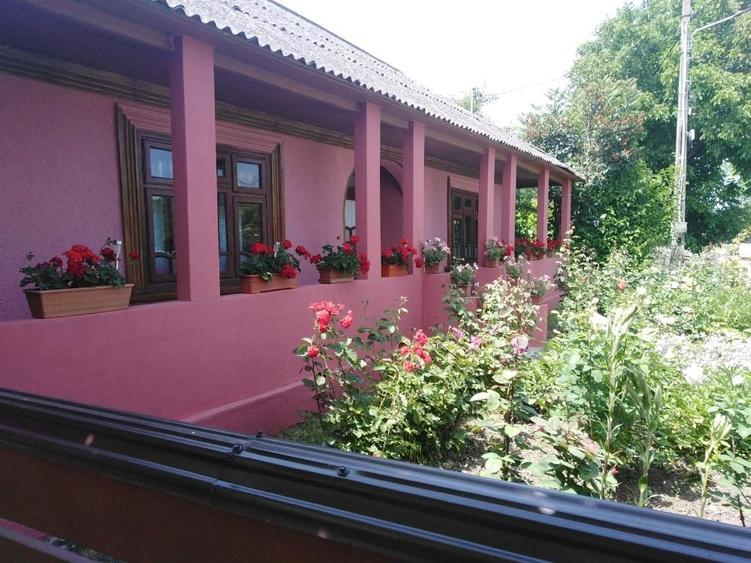 Casă cu 3 camere în Trifești