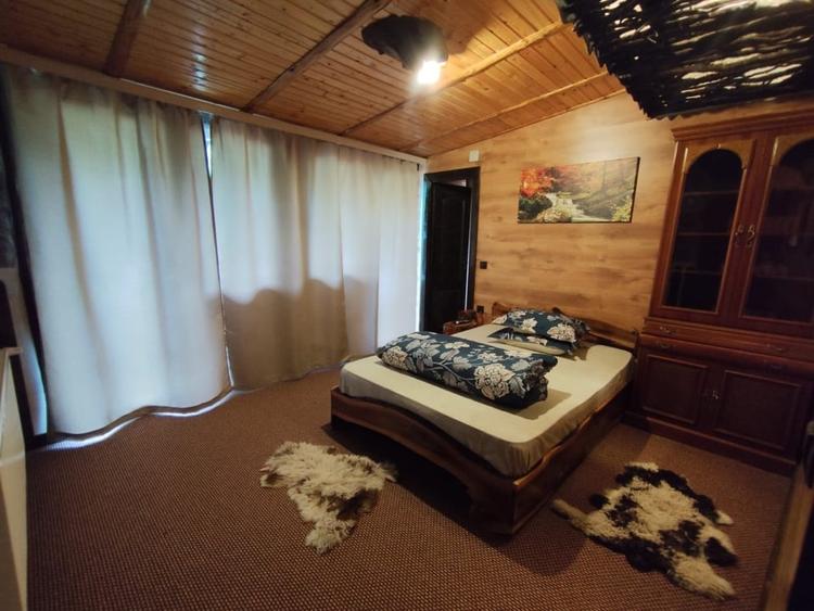 Casă individuală cu 10 camere cu Piscina în Strungari