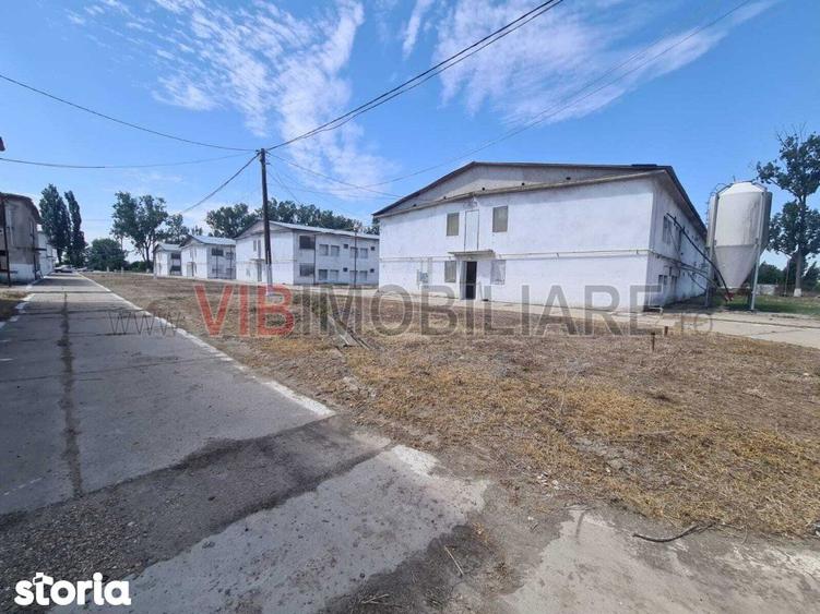 Teren de 35000 mp, în Funcționarilor