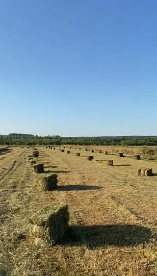 Teren de 8600 mp, în Vicovu de Sus