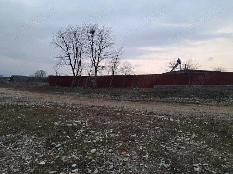 Teren de 1450 mp, în Cărpiniș
