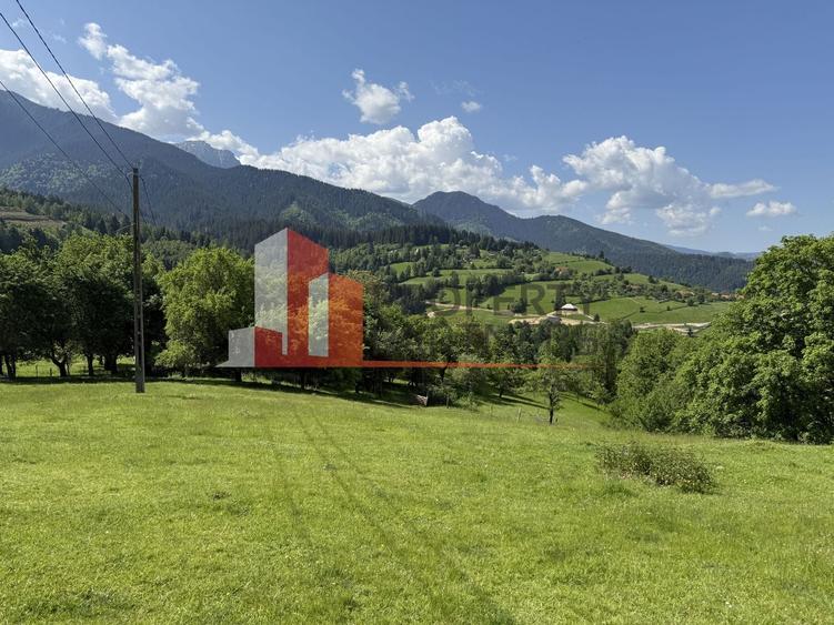 Teren Construcții intravilan de 2799 mp, în Bran