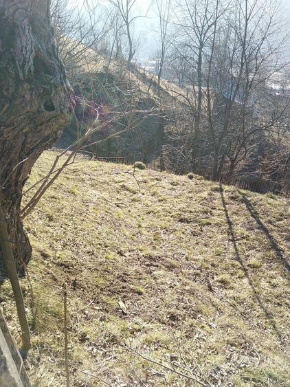 Teren de 765 mp, în Pârâul Pântei