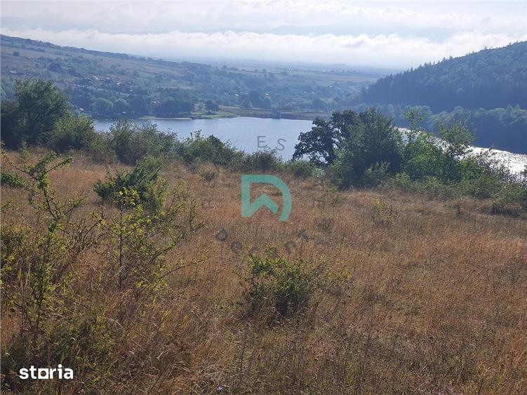 Teren de 50000 mp, în Moacșa
