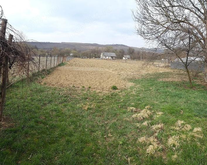 Teren de 3000 mp, în Dumbrăvița