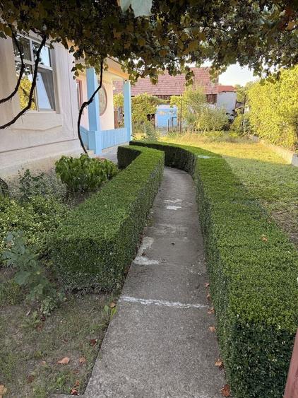 Casă cu 4 camere în Central