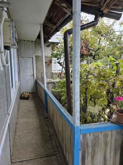 Casă cu 3 camere cu Teren 3000 Mp în Deleni