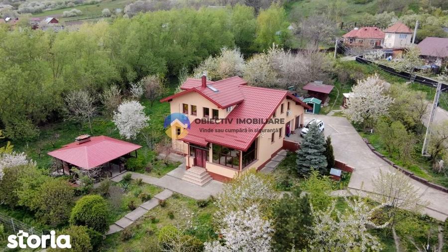 Vila cu 8.800 mp teren in Gura Vaii, la 12 km de Piatra Neamt - 7