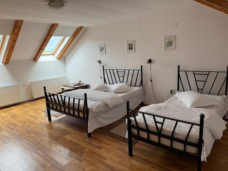 Casă individuală cu 5 camere cu Teren 5200 Mp în Bran