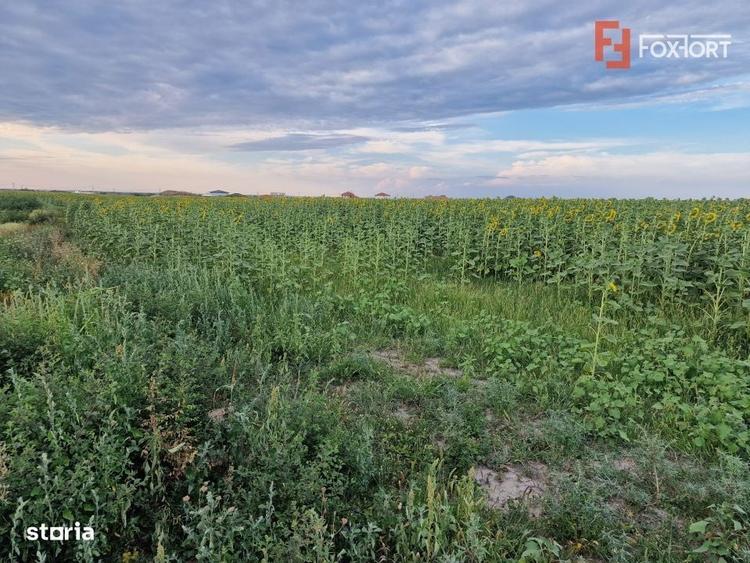 Teren intravilan de 2100 mp de vanzare in Remetea Mare - 1