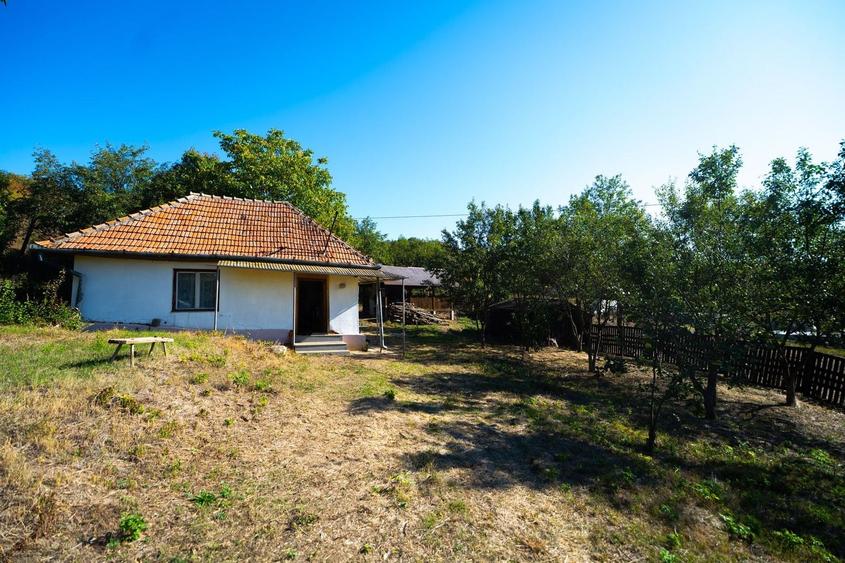 Teren Construcții intravilan de 11400 mp, în Corpadea