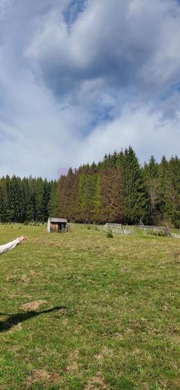 Teren intravilan 2500 mp in Valea Doftanei - 2