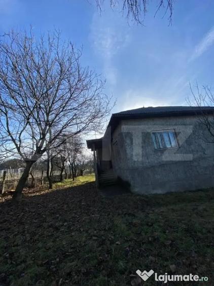 Casă cu 4 camere cu Teren 3000 Mp în Central