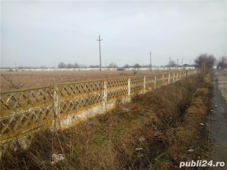 Teren de 43000 mp, în Căzănești