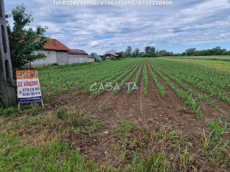 Teren Construcții intravilan de 7500 mp, în Bălești