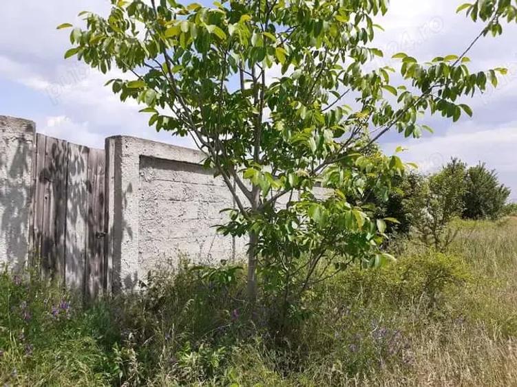 Proprietar, vand teren 1600 mp(1400 mp utili), intravilan construibil, foarte aproape de Bucuresti, - 5