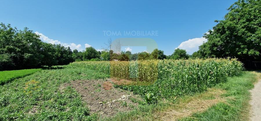 Teren Construcții intravilan de 4133 mp, în Girov