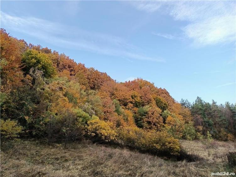 Teren de 100000 mp, în Valea Nenii