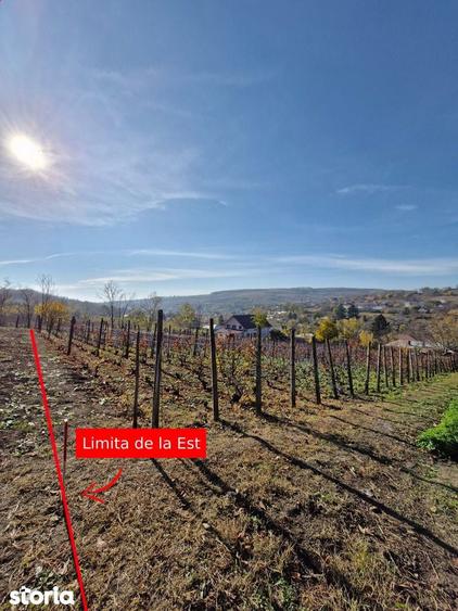 Teren de 1308 mp, în Rediu