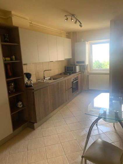 Apartament 2 camere -zona USAMV si Platinia - 2