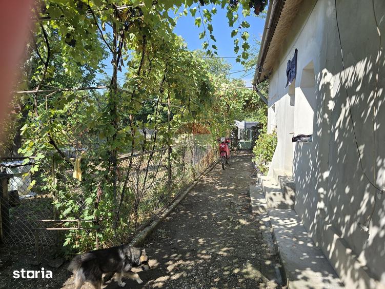 Casă cu 3 camere cu Teren 900 Mp în Odobești