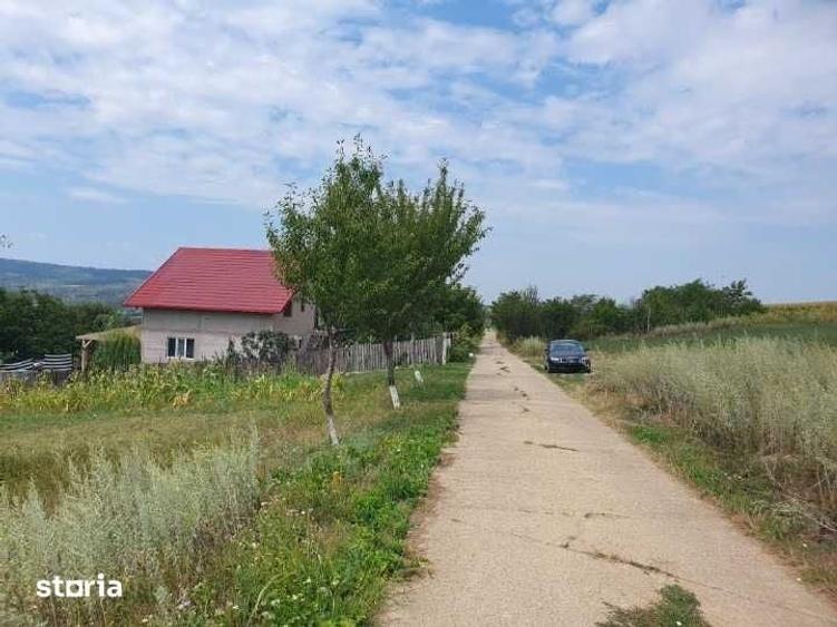 Teren Chicirea (Tomesti) 1.219 mp, 25 euro/mp - 2