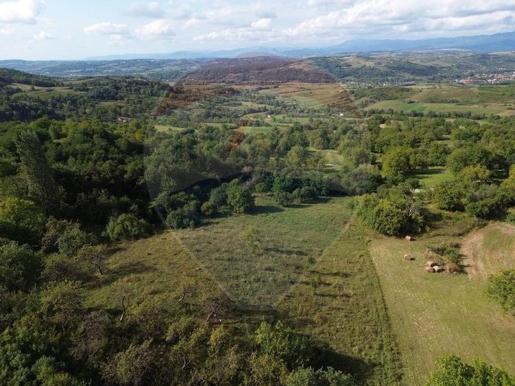 Teren Construcții de 16500 mp, în Măgureni