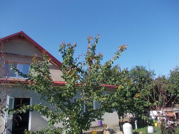 Casă individuală cu 5 camere cu Teren 1500 Mp în Dragalina (Cristinești)