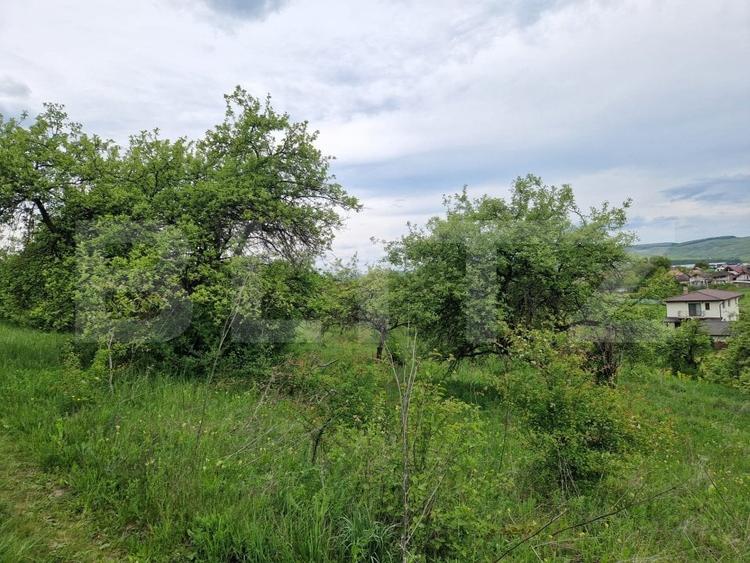 Teren Construcții extravilan de 1000 mp, în Gilău