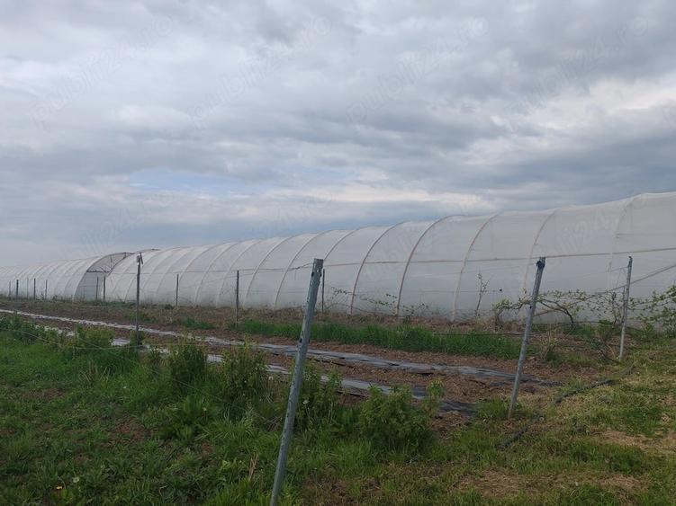 Teren de 9700 mp, în Galda de Jos