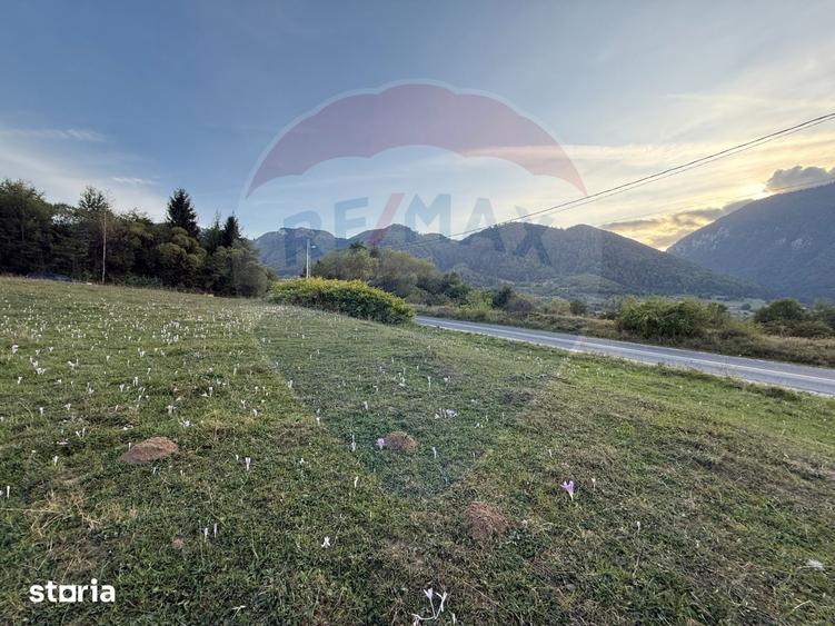 Teren de 646 mp, în Tohănița