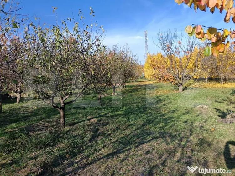 Teren de 6360 mp, în Măgurele
