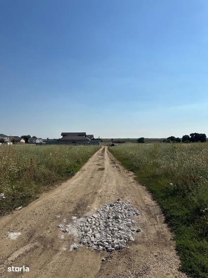 Teren de Vanzare, Comuna Berceni, Judetul Ilfov, Strada Gradinari - 5