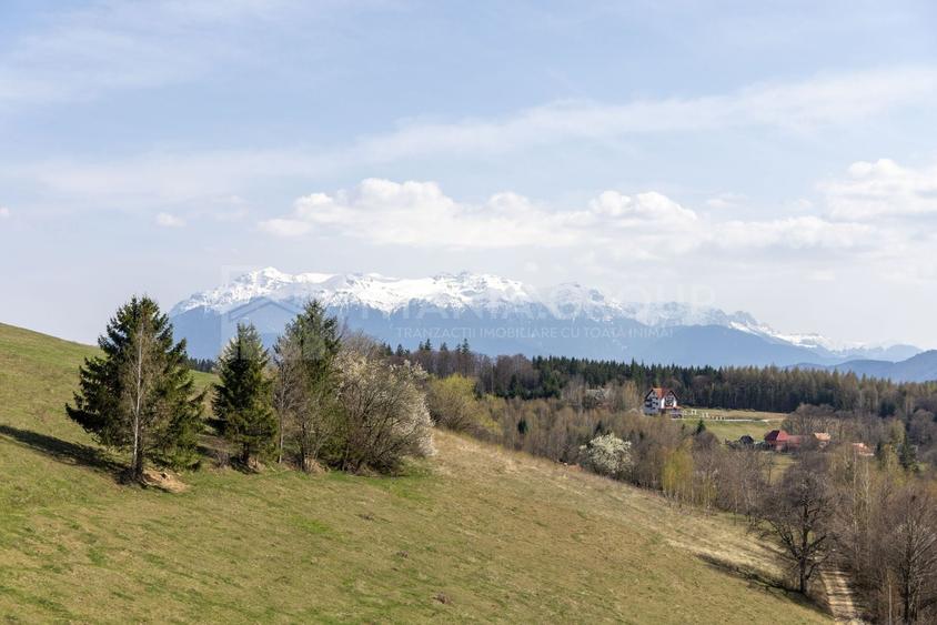 Teren Construcții intravilan de 3791 mp, în Poiana Mărului