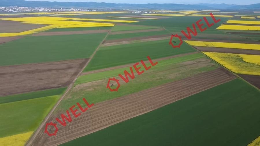 Teren extravilan de 68800 mp, în Sântionlunca
