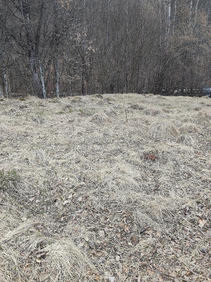 Teren de 4454 mp, în Mușătești