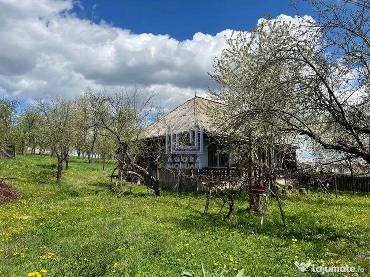 Teren de 4872 mp, în Antoceni