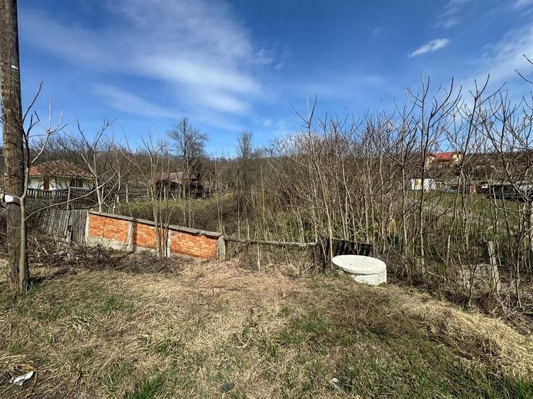Teren Construcții intravilan de 11400 mp, în Corpadea