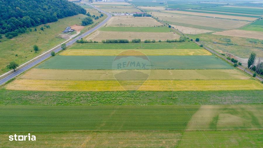 Teren de 8600 mp, în Central
