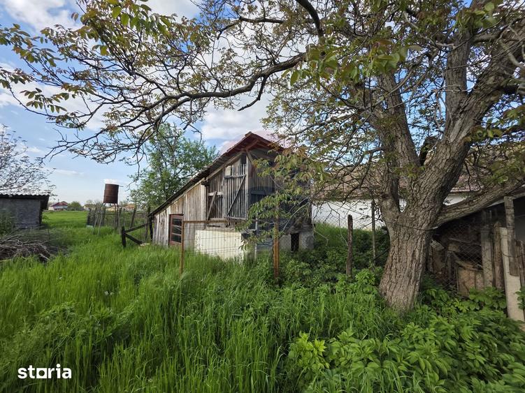 Casă cu 4 camere cu Teren 2880 Mp în Giulvăz