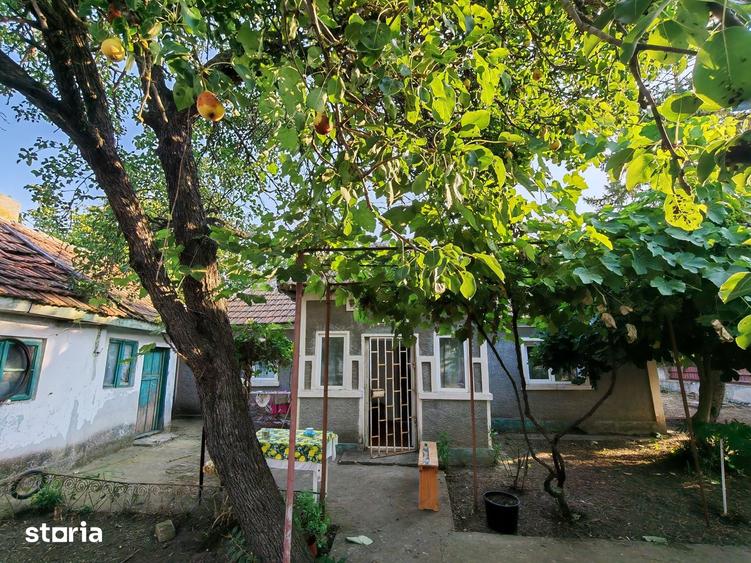Comision0%-AlmanImobiliare-OazaDeCurte-1100Mp-CasaRenovabila-Mangalia - 5