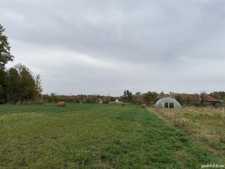 Teren de 4990 mp, în Duboz