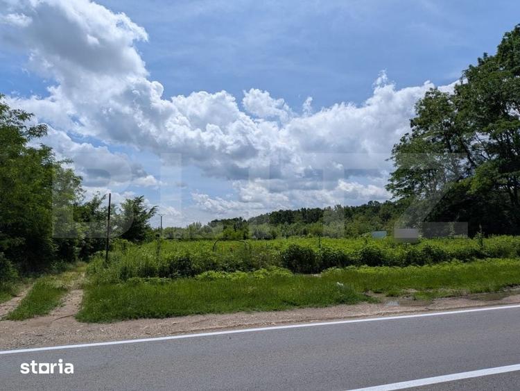 Teren de 12700 mp, în Priseaca