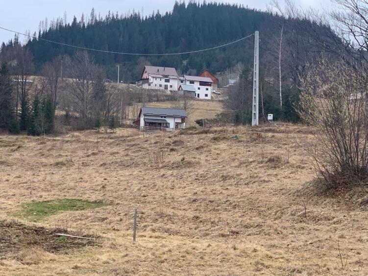 Teren Construcții intravilan de 1500 mp, în Rogojel