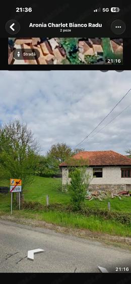 Teren de 9000 mp, în Avram Iancu (Vârfurile)