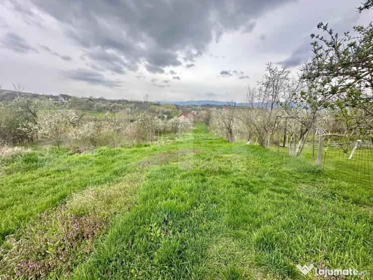 Teren intravilan de vanzare 728 mp, Oarda de Sus, cu pr - 4
